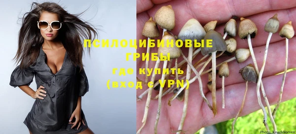 трава Медвежьегорск